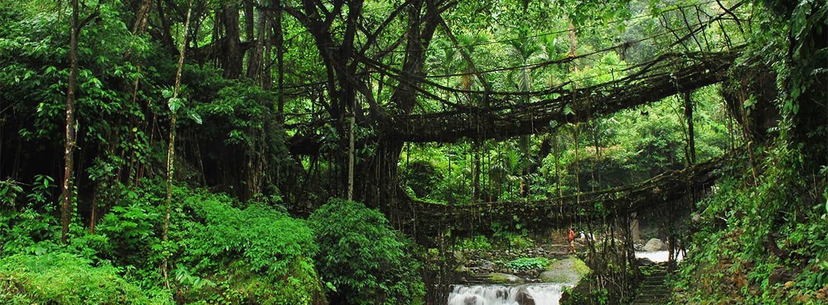 cherrapunji-1