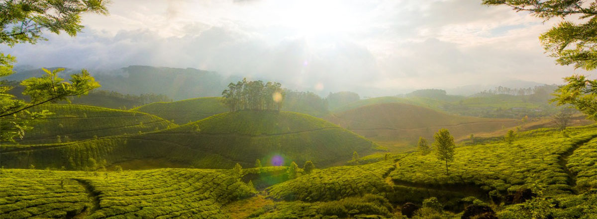 munnar-1